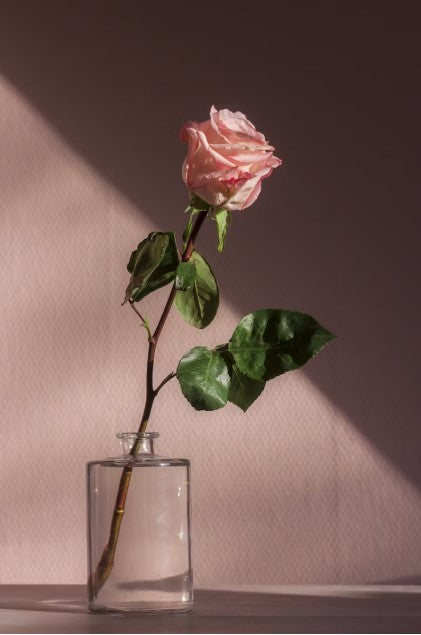 A single stemmed pink rose is pictured standing tall in a plain glass on a pale wallpaper background which is half shaded.
