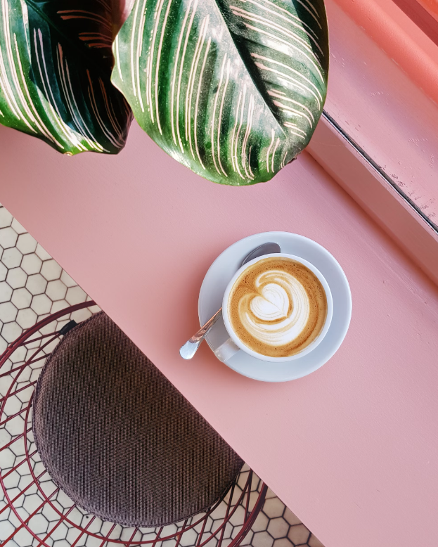 A cup of coffee is pictured from above sitting on a pastel pink table with some large overhanging palm leaves. 
