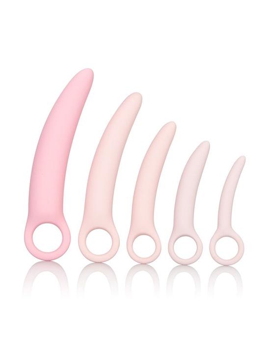 Five slightly pointed items lined up in descending order that have a little round hole at the base and are in different shades of pink.